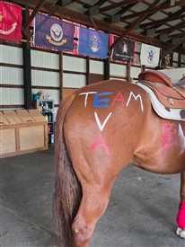 LR-2026 Team EVA-171901
